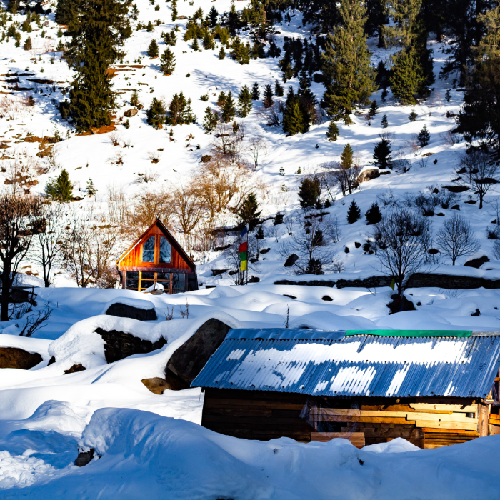 Untitled design (65)